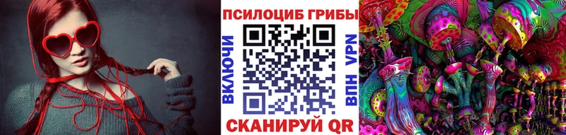 Галлюциногенные грибы Cubensis  Арзамас 